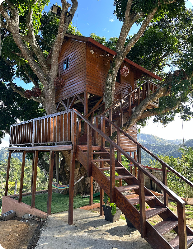 4c85edda-8624-44f0-adb8-1e726497d7c2